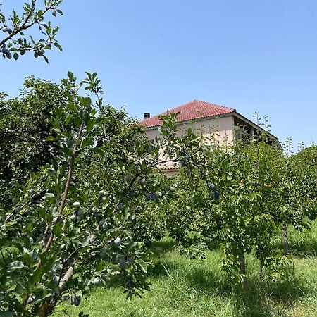 Villa Mance Berat Exterior photo