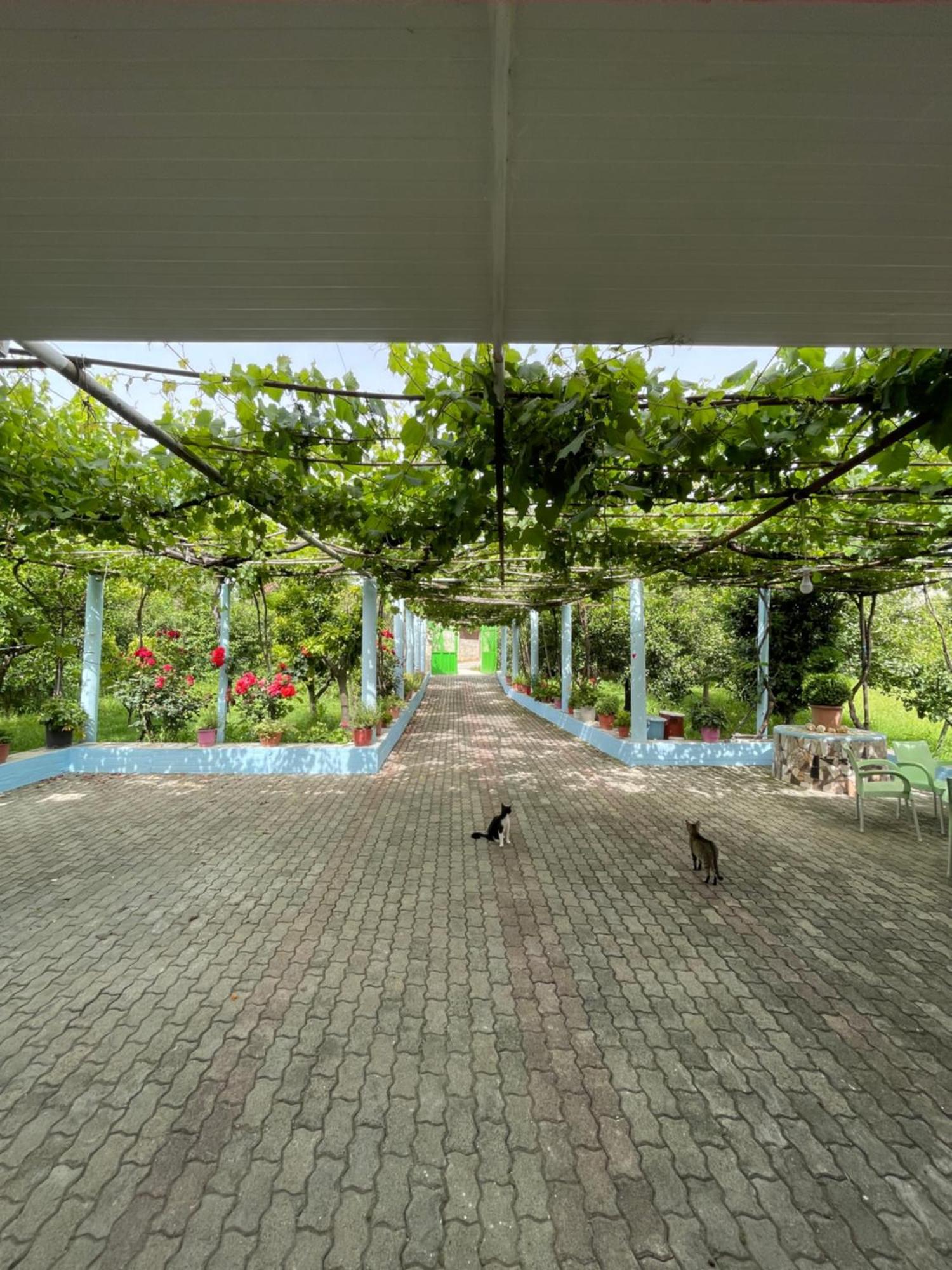 Villa Mance Berat Exterior photo